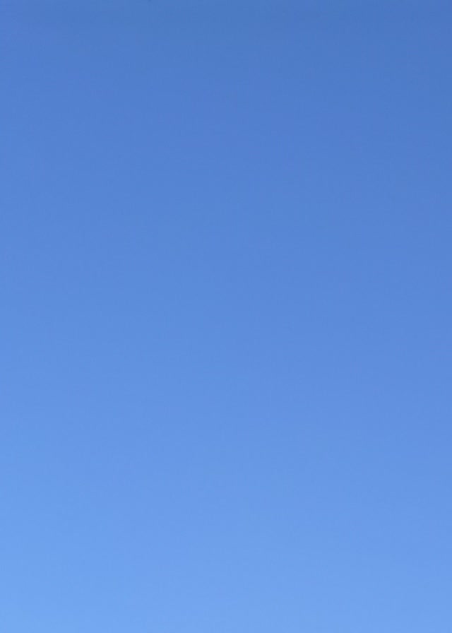 La Preciosa - Foto 4
