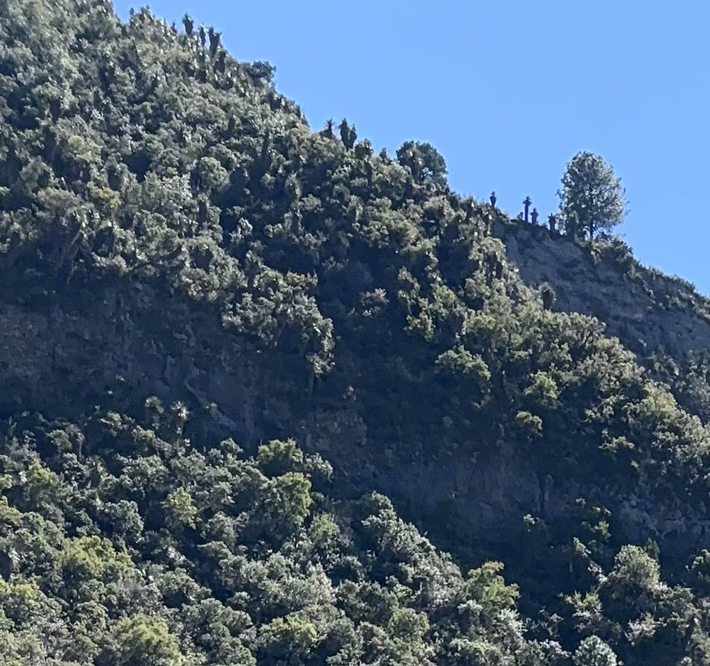 Aljojuca - Foto 5