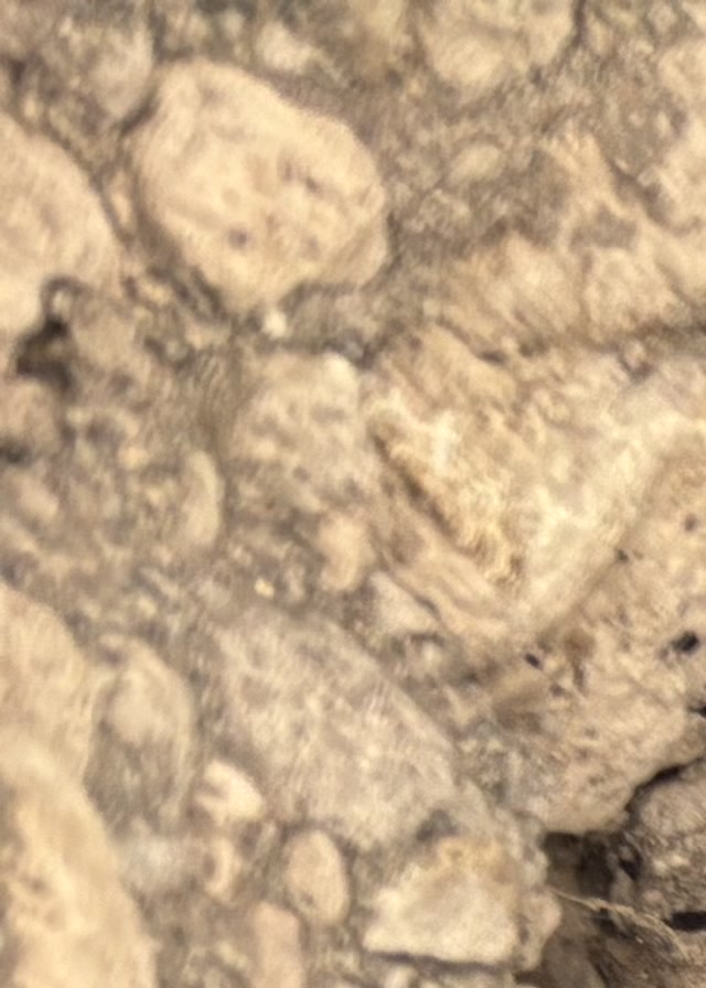Lahar - Foto 6