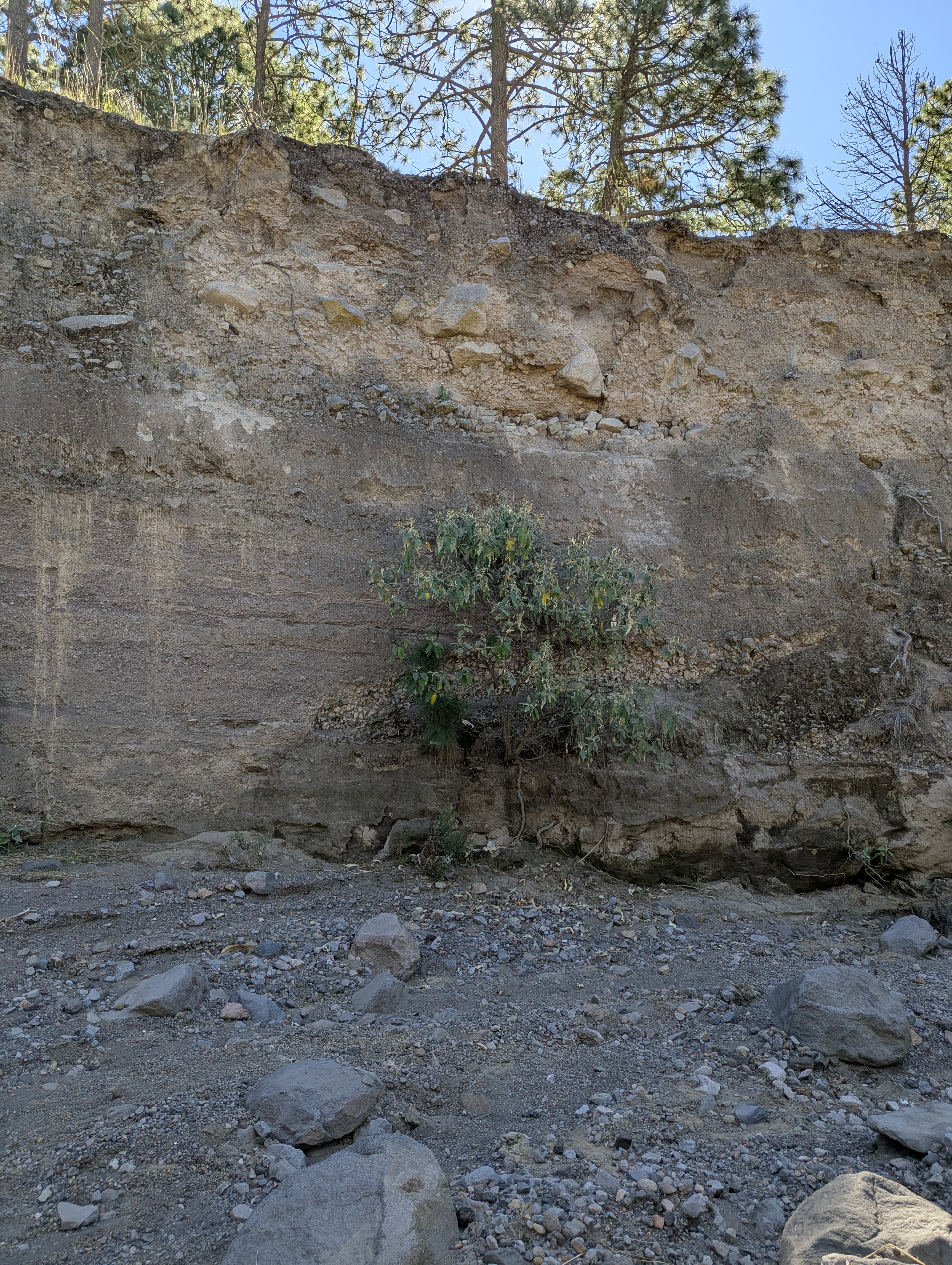 Lahar - Foto 7