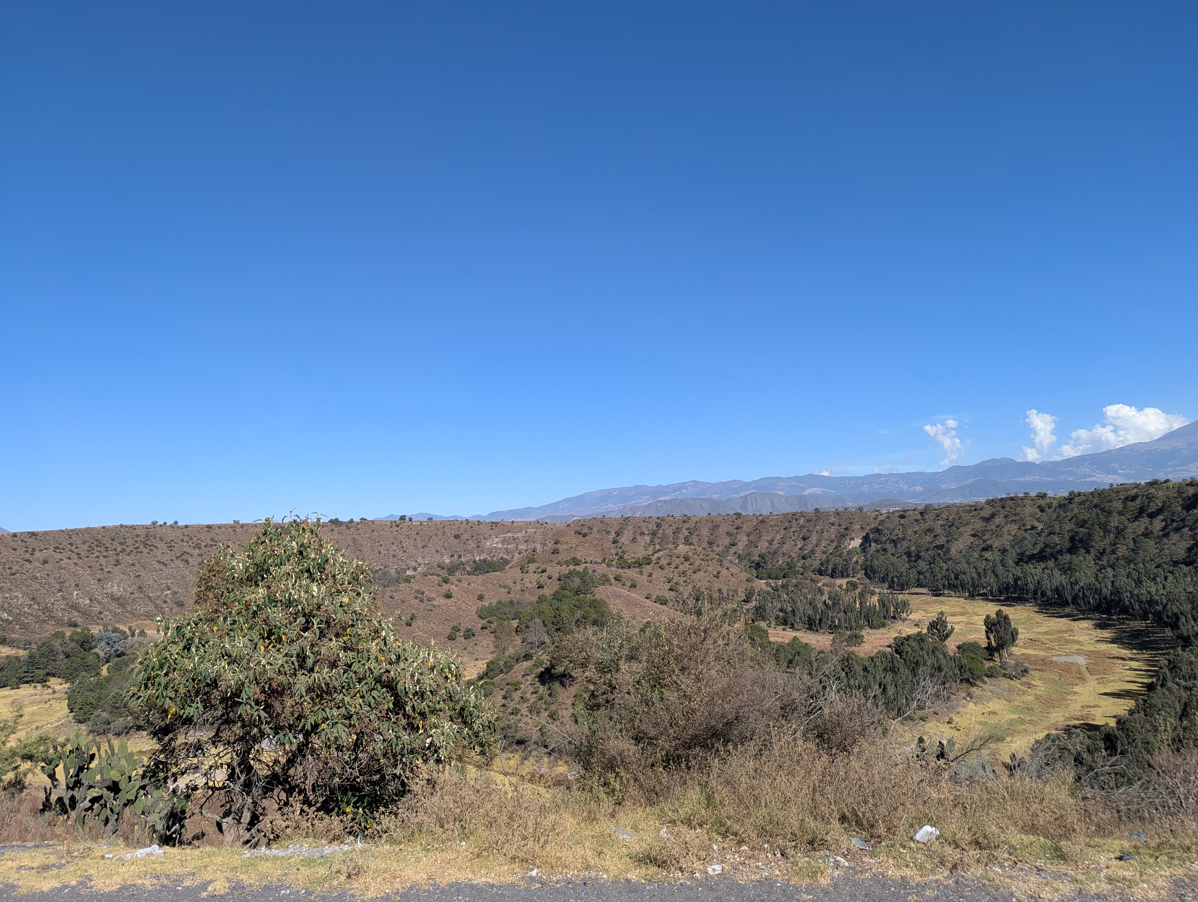 Tecuitlapa - Foto 1